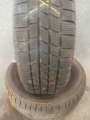 SZ0230 (2)